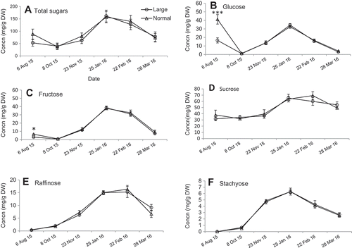 Figure 7. Seasonal changes (8 Oct. 2015 to 28 Mar. 2016) of sugar concentrations (mg/g DW) in large and normal canes in Cabernet franc grapevines: (A) total sugars, (B) glucose, (C) fructose, (D) sucrose, (E) raffinose, and (F) stachyose. Sugars were extracted from internode tissue between node 1 and 2. *, **, *** indicate significant difference at P < 0.05, 0.01, 0.001, respectively.