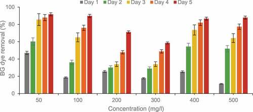 Figure 8. Effect of concentration and time on Brilliant green dye removal by free cells in batch experiments using corncob biochar.