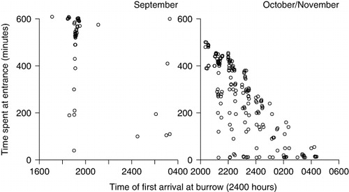 Figure 3 Time spent by fairy prions at the burrow (minutes) in relation to time of first arrival at the burrow in September and October/November.
