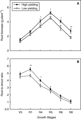 Fig. 2  Root biomass (A) and root-to-shoot ratio (B) in high- and low-yielding soybean pools across all growth stages. Note: * and ** indicate growth stages at which root biomasses or root-to-shoot ratios of the two yielding pools were significantly different at P < 0.05 and P < 0.01, respectively; bars represent standard error of the mean (n = 4)