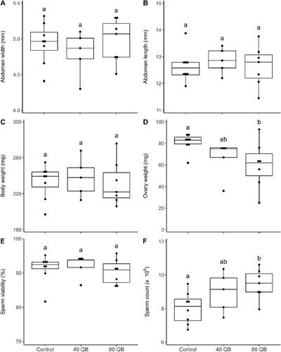 Figure 3. Queen reproductive quality traits measured on May 25, 2020, 12 days after their introduction in nucleus colonies: abdomen width (mm) (A), abdomen length (mm) (B), body weight (mg) (C), ovary weight (mg) (D), sperm viability (%) (E) and sperm count (x10ε) (F) (mean ± SE) of control queens (N = 8), queens from 40 QB (N = 5) and 80 QB (N = 7). The scale of the y-axis of the A, B, C, E and F graphs does not start at zero in order to adequately show the values and their standard errors. Statistically different groups are represented by different letters above values (p ≤ 0.05).