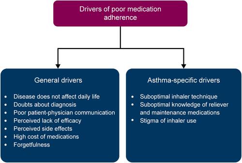Figure 2 Drivers of medication adherence in asthma derived from qualitative literature.