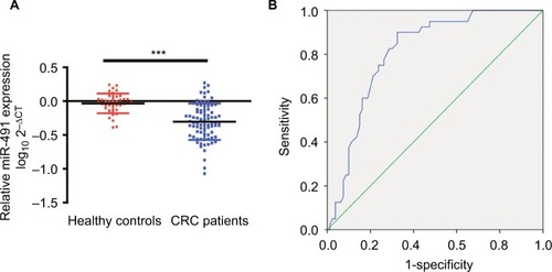 Figure 7 Plasma levels of miIR-491-5p were downregulated in CRC patients.Notes: (A) The relative levels of miIR-491-5p in patients with CRC and healthy controls. The data are shown as log10 and normalized to cel-miR-39. (B) ROC curves for 491-5 p in 80 CRC patients and 40 healthy controls. Data are shown as mean ± SD. ***P<0.001.Abbreviations: CRC, colorectal cancer; ROC, receiver operating characteristic.