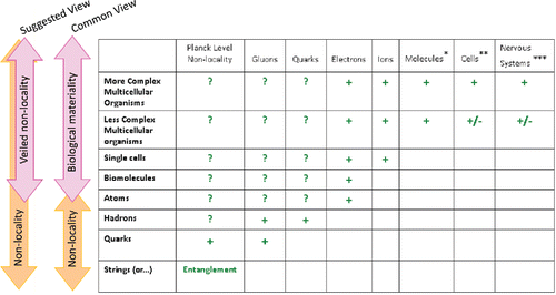 Figure 3. Some mediators of process (“creative intra-activity,” “creative interactivity” and “sentience”) at different levels of scale and complexity. In the common view, non-locality predominates at the smallest, quantum levels of scale, in which realm we term the form of process “creative intra-activity;” at higher levels of scale, with the emergence of reified boundaries in which non-locality is superceded by materiality, process consists of “creative interactivity;” and, finally, in biological forms, process presents as true “sentience.” (A recent “suggested” view indicates that non-locality is present throughout, but is “veiled;” see Kafatos and KakCitation60). Biomolecules, depending on the species, include molecules such as neurotransmitters, hormones, antibodies, leptins, etc. Cells may belong to organisms (e.g. immunocytes, neurons) or microbial flora living in synergistic mutualism (e.g., gut and skin flora). Nervous systems in multicellular organisms may be, for example, in the form of nerve nets in lower species like Radiata, or central and/or peripheral nervous systems in Bilatera. (Table adapted from Theise and KafatosCitation29)