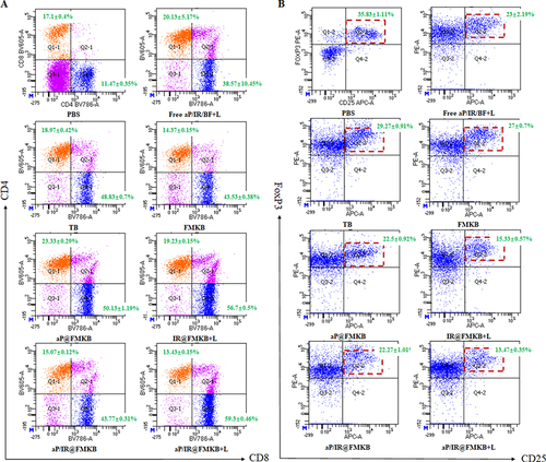 Figure 8 Abscopal effect prevention via immune response induced by aP/IR@FMKB.