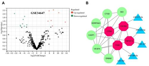Figure 5 Search for miRNAs and Construction of a mRNA/miRNA regulatory network in carotid atherosclerosis. (A) The volcano of DEGs in GSE34647. (B) The mRNA–miRNA network of top 10 hub genes. (The size of each node was proportional to |log (Fold Change)| value. The red color indicated top hub genes and the green color indicated hub genes. The blue color indicated DE-miRNAs.
