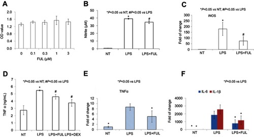 Figure 2 Fullerol could decrease nitrite production and TNF-α, IL-6 and IL-1β expression in RAW264.7 macrophage cell line.Notes: Fullerol was not toxic at the doses of up to 3 µM (A, WST-1 assay). Fullerol suppressed LPS-induced nitrite production (B, Griess reagent test) and iNOS gene expression (C, quantitative RT-PCR analysis). It also reversed LPS-stimulated production of TNF-α (D, ELISA assay; E, quantitative RT-PCR analysis) and expression of inflammatory cytokines IL-1β and IL-6 (F, quantitative RT-PCR analysis). LPS: LPS (100 ng/mL) treatment; LPS + FUL: treatment of LPS (100 ng/mL) combined with fullerol (1 µM); LPS + DEX: treatment of LPS (100 ng/mL) combined with dexamethasone (25 µM). For all assays, four repeats were performed in each group (n=4).Abbreviations: FUL, fullerol; NT, no treatment; iNOS, induced nitric oxide synthase; LPS, lipopolysaccharide; TNF, tumor necrosis factor.