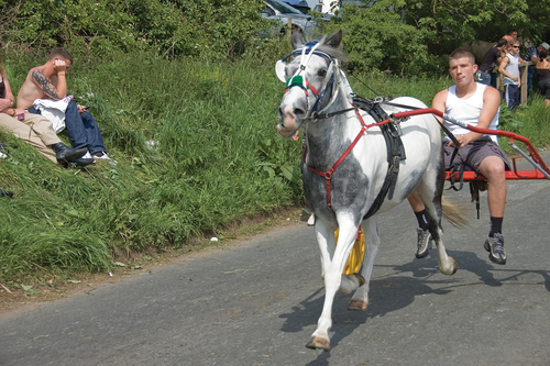 Figure 3. ‘The Flash’ – parading a horse on Flashing Lane. This file is licenced under the Creative Commons Attribution 2.0 Generic licence.