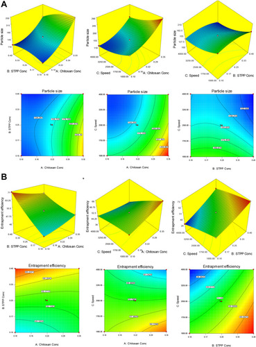 Figure 1 (A) 3D response surface plot and contour plot showing the effect of independent variables on particle size (X1). (B) 3D response surface plot and contour plot showing the effect of independent variables on entrapment efficiency (X2).