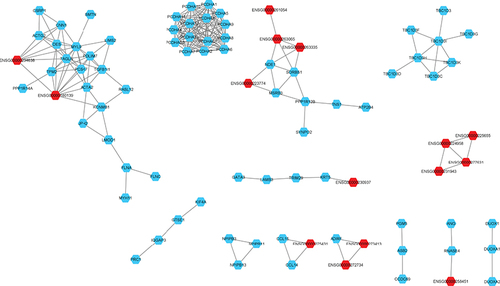 Figure 3. Co-expression network of DE mRNA and lncRNA in African ancestry tumor samples.lncRNA are marked in red and mRNA are marked in blue. Four networks with more than eight nodes of co-expressed genes are shown, one network co-expressed three lncRNA and another network co-expressed two lncRNA. Two tightly connected networks of the same family of genes (Protocadherin Alpha and TBC1 domain family member and 3 [TBC1D3]). In the quintet network one lncRNA was co-expressed. One quartets network was with only lncRNA co-expressed. Among the five trios networks, two had two lncRNA co-expressed and the other only one. Small networks with fewer than two nodes are not shown.