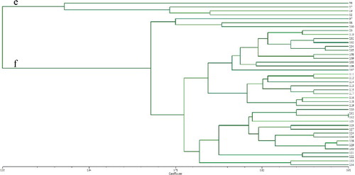 Figure 4. Dendrogram of 42 ramie accessions from Group III based on the allelic data of 36 SSRs.