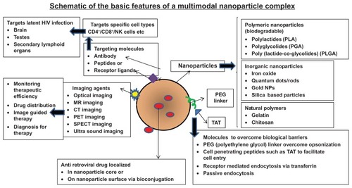 Figure 1 Schematic of the basic features of a multimodal nanoplex capable of targeted drug delivery.Notes: The important components of a nanoparticle used for intracellular drug delivery which include various nanomaterials (polymeric, inorganic, or natural polymers, etc), targeting molecules (antibodies, peptides, receptor ligands), cell-penetrating peptides (to promote internalization), linkers (PEG) and the incorporated drug molecules of interest (such as the antiretroviral drugs).Abbreviation: PEG, poly(ethylene glycol); NP, natural polymers; MR, magnetic resonance; CT, computed tomography; PET, positron emission tomography; SPECT, single photon emission computed tomography; NK, natural killer; CD4, - Cluster of Differentiation Antigen 4; CD8-, Cluster of Differentiation Antigen 8.