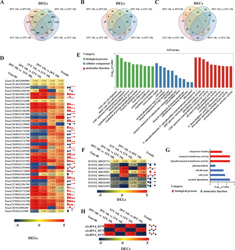 Figure 6. Hierarchical cluster and functional analysis of photo-thermo responsive DEGs, DELs and DECs. Venn analysis showing male sterility-related differentially expressed mRNAs (A), lncRNAs (B) and circRNAs (C). The cluster heat map of male sterility-related differentially expressed mRNAs (D), lncRNAs (F) and circRNAs (H), red colour represents upregulated, blue colour represents downregulated genes, and heavier colour represents higher fold change. GO analysis of male sterility-related differentially expressed mRNAs (E), lncRNAs (G).