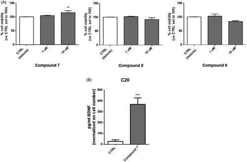 Figure 4. Treatment with compound 7 increases the level of BDNF released from human microglial cells. (A) C20 cells were exposed for 24 h at different concentrations of compounds 7, 8 and 9. Then the medium was replaced, and an MTS assay was performed to test cell viability. Results are reported as the percentage of the control group, treated with vehicle (DMSO). Data are represented as means ± SEMs of three independent experiments. The significance of the differences was determined by one-way ANOVA, which was followed by Bonferroni’s post-test: ** p < 0.01 vs. CTRL. B) The supernatant derived from C20 cells treated with 10 μM of compound 7 was collected and used for BDNF quantification by ELISA assay. Levels of BDNF (pg/ml) were then normalised on crystal violet absorbance. Data are represented as means ± SEMs of three independent experiments and the significance of the differences was determined by Student’s t-test analysis.