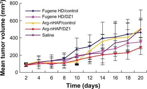 Figure 7 Tumor growth curve of each group in a nasopharyngeal carcinoma xenograft model. When the tumor volume reached 60–110 mm3, the animals were injected intratumorally with 100 μg of DZ1 or CON adsorbed by 3 μL of Fugene HD or 20 μL of Arg-nHAP (20 μg per injection) twice a week (six times total). The tumor volume was measured twice a week. Tumor tissues were harvested and weighed at the end of the experiment.Abbreviations: Arg-nHAP, arginine-modified nanohydroxyapatite particles; CON, control DNAzyme; DZ1, DNAzyme 1.