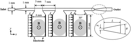 Figure 1. The three-cavity MMR micropump.