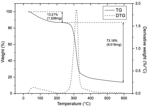 Figure 5. Thermogravimetric curve (TGA) of the fast-dissolving mucoadhesive film produced.