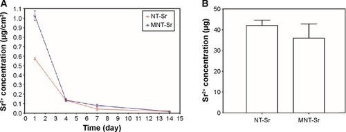 Figure 5 Sr release of the two Sr-loaded samples.Notes: (A) Noncumulative Sr release time profiles from NT-Sr and MNT-Sr into PBS (n=5 at each time point). (B) Total Sr content of NT-Sr and MNT-Sr samples (n=5).Abbreviations: MNT-Sr, micro/nano strontium-containing titanium surface; NT-Sr, nano strontium-containing titanium surface; PBS, phosphate-buffered saline.