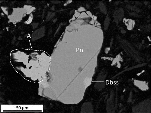 Figure 8. BEI of a sulfide assemblage from Platreef concentrate fired at 800°C, consisting of pentlandite (Pn), digenite–bornite solid solution (Dbss) and Ni-Fe solid solution alloy (A).