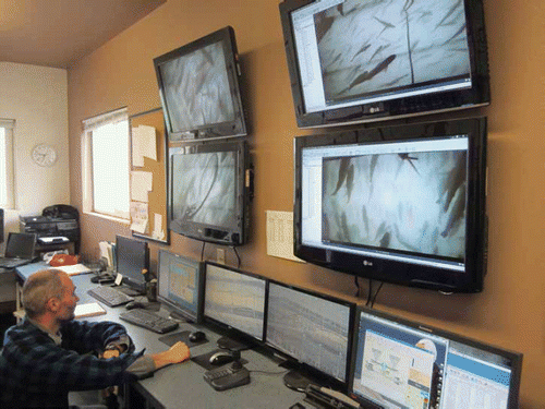 Figure 3. Control room for a salmon farm in Washington State. Fish feeding, behavior, and health are monitored using underwater video and water quality data are collected and displayed on computer screens. Feeding is done based on a computer-controlled system, feedback from the video, and the operator's experience. Photo by Laura Hoberecht