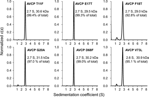 Figure 2. Association states of the AVCP variants determined on analytical ultracentrifugation. The distributions of the sedimentation coefficients (s) of the AVCP variants are shown. The data was analyzed using the continuous c(s) distribution model in the program SEDFIT.