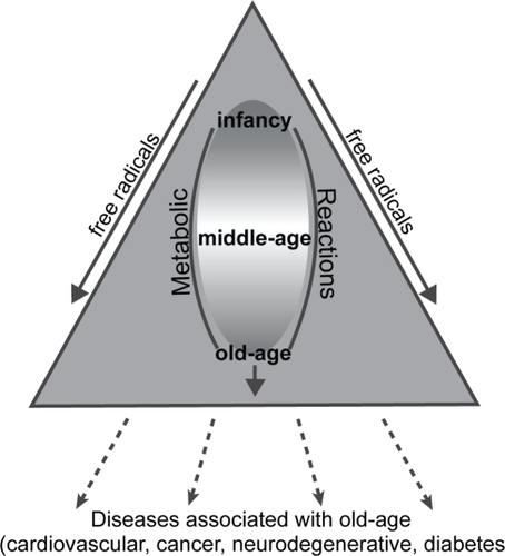 Figure 1 Association of free radicals with age, and age-related diseases.