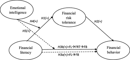 Figure 1 Conceptual model.