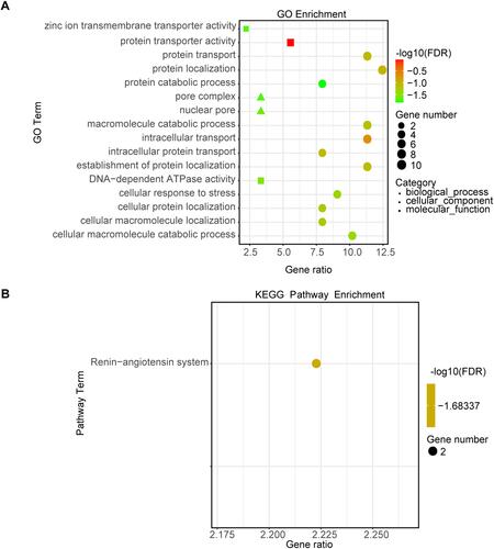 Figure 8 Enrichment analysis of the ARRDC3 and its co-expression related genes in cBioPortal database. (A) Enrichment analysis of gene ontology terms predicted by ARRDC3 and its co-expression related genes, including biological processes, cellular components and molecular functions; (B) Enrichment analysis of KEGG pathway predicted by ARRDC3 and its co-expression related genes.