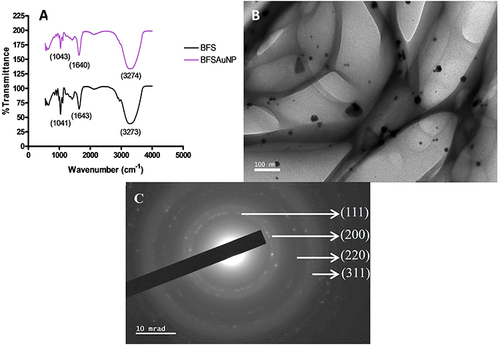 Figure 4 (A) Fourier-transform infrared spectrometry (FTIR) of the preserved leaf juice solution (BFS) and synthesized gold nanoparticles (BFSAuNPs), (B) high-resolution transmission electron microscopy (HRTEM) and (C) selected area diffraction pattern (SAED).