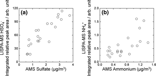 FIG. 3 Correlation plots for LISPA-MS relative peak area and AMS mass loading: (a) sulfate and (b) ammonium. Note that LISPA-MS peak areas were integrated over each 3-h bin, whereas AMS mass concentrations (originally logged as 10-min interval data) were averaged over each three-hour bin for comparison.