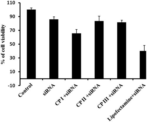 Figure 11. Cytotoxicity of CP/siRNA complex in HCT 116 cancer cell line.