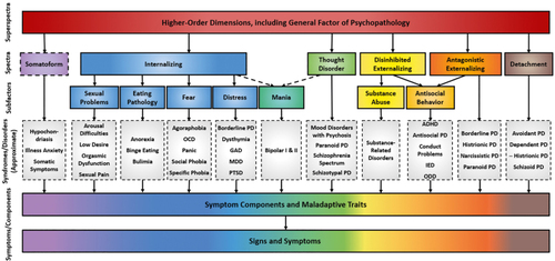 Figure 1. The Hierarchical Taxonomy of Psychopathology (HiTOP). Recent efforts by an international consortium of researchers have produced this hierarchical, dimensional system for organizing psychological symptoms (https://medicine.stonybrookmedicine.edu/HITOP/). Figure depicts a simplified schematic of the HiTOP working model.Citation1 Constructs toward the top are broader and more general, whereas those shown lower in the figure are narrower and more specific. HiTOP is a work in progress and will be updated on the basis of new data. Dashed lines indicate provisional elements requiring more study. Categorical disorder constructs are included to allow mapping of existing nosologies onto HiTOP, and those with the most prominent cross-loadings are listed in multiple places. Minus sign indicates negative association between histrionic personality and the detachment spectrum. Adapted with permission from ref 1 Copyright ©2017 American Psychological Association.