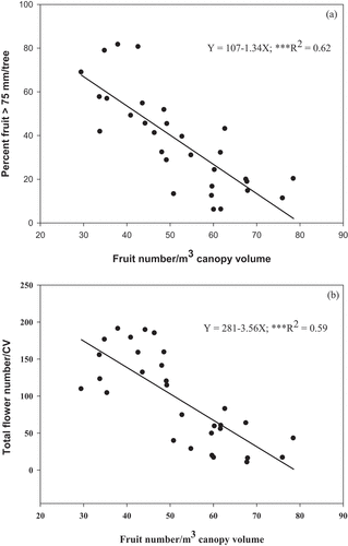 Figure 2. The relationship of (a) fruit number/m3 canopy volume (CV) vs. percent fruit >75 mm/tree produced after thinning; and (b) fruit number/tree vs. total flower number/0.125 m3 CV the year after thinning.