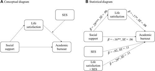 Figure 3 Socioeconomic status (SES) moderated the mediation model of social support to life satisfaction to academic burnout: (A) Conceptual diagram; (B) Statistical diagram.