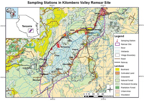Figure 1. A map of Tanzania showing location of Kilombero Valley Ramsar Site and sampling stations (adapted from Materu Citation2015)