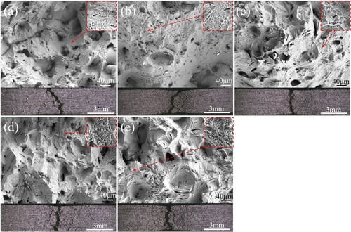Figure 14. The frontal and lateral fracture morphology of LPBF Hastelloy X with different laser energy densities: (a) 31 J/mm3, (b) 43 J/mm3, (c) 53 J/mm3, (d) 67 J/mm3, and (e) 91 J/mm3.