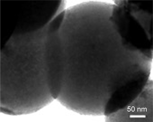 Figure S1 TEM image of BG microspheres without hollow structure.Abbreviations: BG, bioglass; TEM, transmission electron microscopy.