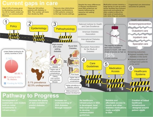 Figure 1 Current gaps in diabetes care in sub-Saharan Africa and potential pathways to progress.