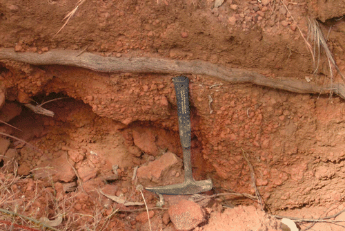 Figure 16 Reworked bauxite in a creek bank leading to Myall Creek, East Weipa (GR 637644/8600622).