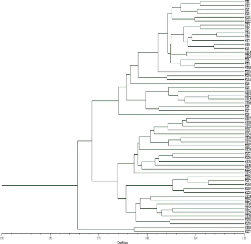 Figure 1. Dendrogram for genetic relationship of total investigated samples.