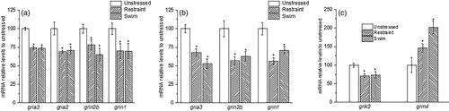 Figure 3. The changes in mRNA levels of the glutamate gene in the hippocampus (a), midbrain (b) and the brainstem (c) that changed in the same direction under both types of chronic stressors. The decreases in mRNA levels for the ionotropic receptors subunits caused by stressors were 25–50% of levels in unstressed rats. Only mRNA level for grm4 metabotropic receptor showed up to two-fold increase after chronic FS in the brainstem. *p < 0.05 compared to Unstressed.