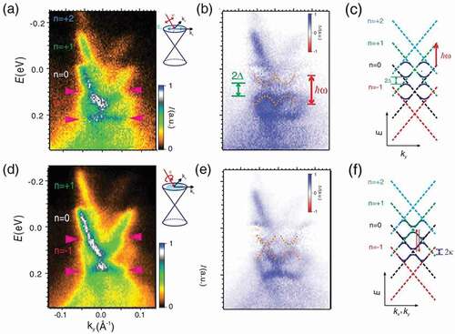 Figure 4. Observation of Floquet-Bloch bands on the surface of Bi2Se3. (a) Photoemission spectra measured pumped by s-polarized mid-IR pulse, red arrows indicate the avoided crossings between neighboring Floquet states. (b) Photoemission spectrum subtracted from the laser-field-driven spectrum in (a) and the unperturbed spectrum before the advent of mid-IR pulse, dashed lines illustrate the avoid crossing gaps. (c) Schematic illustration of the experimentally observed Floquet-Bloch bands. (b)-(f) The same as in (a)-(c) but for circular polarized mid-IR pump. A band gap opening in Dirac point is depicted in (f). Reproduced from [Citation66].