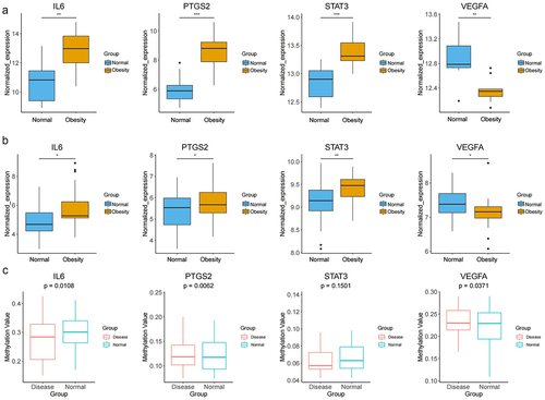 Figure 7. Immune infiltration analysis. (a) percentage of infiltration of immune cells in normal and obesity samples. (b) GSE2508-GPL8300 immune cell distribution box line. (c) correlation map between key genes (IL-6, PTGS2, STAT3, and VEGFA) and immune cells.