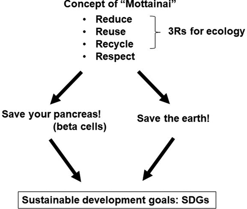 Figure 5. Integration of concept of diabetes care into concept of ‘Mottainai’ for implementation of sustainable development goals (SDGs). Mottainai is a Japanese term containing the ‘4Rs’, reduce, reuse, recycle; 3Rs for ecology, and respect.