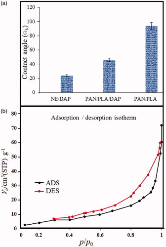 Figure 6. The relationship between advancing contact angle (θA) and duration of different drop volumes on surface (a) and N2 adsorption–desorption isotherms of polyacrylamide/polylactic acid core/shell nanofibers (b).