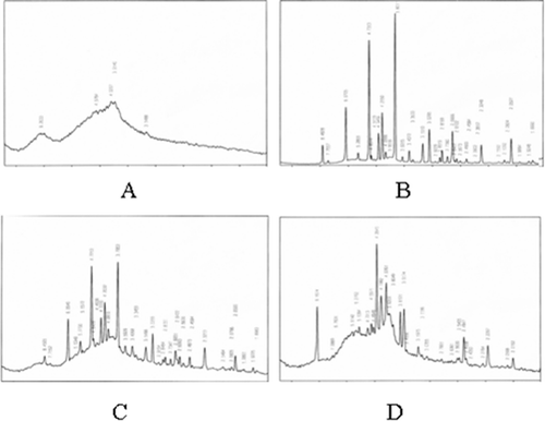 Figure 4. X-ray diffraction patterns of samples: (A) BSA; (B) hirudin; (C) physical mixtures; (D) hirudin–BSA nanoparticles