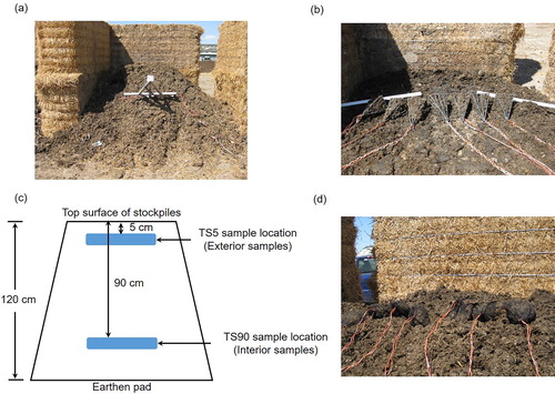 Figure 1. (a) A photo showing beef cattle manure stockpiles confined within open-fronted bins, which were constructed using large barley straw bales; (b) A photo showing the Baker retrieval pyramids containing beef cattle manure in nylon mesh bags placed 90 cm from the top surface of stockpiles (TS90 sample location) as interior samples prior to the experiment; (c) A schematic of a beef cattle manure stockpile with the definition of interior (90 cm from the top surface of stockpile; TS90) and exterior (5 cm from the top surface of stockpile; TS5) locations from which the manure samples collected; (d) A photo showing the nylon mesh bags containing beef cattle manure placed 5 cm from the top surface of stockpiles (TS5 sample location) as exterior samples prior to the experiment; Photos used with permission.
