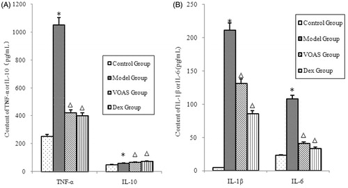Figure 3. (A) The influence of VOAS on TNF-α and IL-10 with serum. Note: Compared with the control group, *represents significant increase (p < 0.05); compared with the model group, delta represents significant decrease (p < 0.05). (B) The influence of VOAS on IL-1β and IL-6 with serum. Note: Compared with the control group, *represents significant increase (p < 0.05); compared with the model group, delta represents significant decrease (p < 0.05).