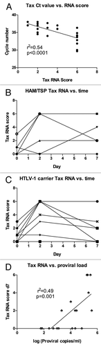 Figure 4 Dynamics of Tax mRNA expression and relationship to HTLV-1 proviral load. (A) RNA was extracted from PBMC aliquots and was tested by RT-PCR using three sets of forward and reverse primers specific for Tax (see Table 2). A Tax score was calculated, with each positive primer set increasing the score by one (for a maximum value of six). The average cycle number for positive reactions was correlated with the calculated Tax score. (B and C) RNA was harvested from cells ex vivo or after two or seven days' in vitro culture, and results are shown for (B) HAM/TSP subjects (n = 5) or (C) HTLV-1 carriers (n = 13). (D) HTLV-1 proviral load was determined in ex vivo PBMCs (n = 13) and paired with Tax scores from PBMCs after 7 days' in vitro culture, showing a positive linear correlation.