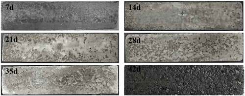 Figure 3. C30 concrete surface morphology changes under different cycle periods.